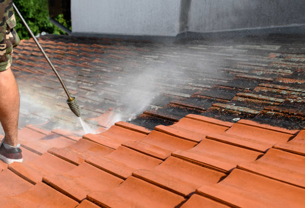 Pressure Washing Services for Businesses in Tazewell, VA