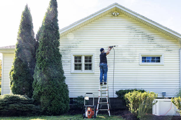 Best Roof Pressure Washing  in Tazewell, VA