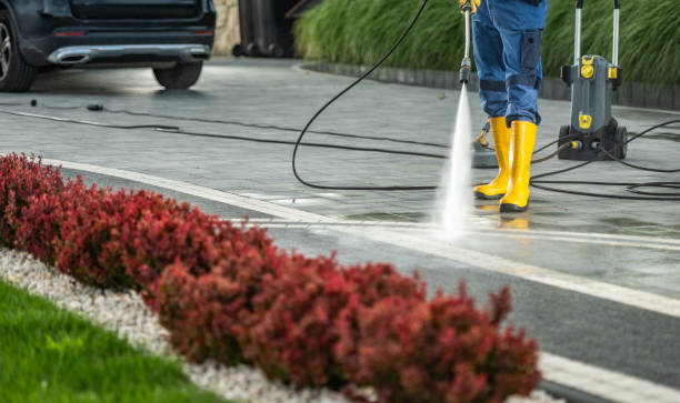 Best Concrete Pressure Washing  in Tazewell, VA