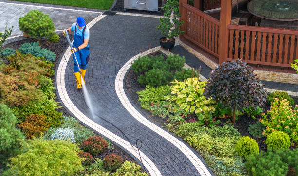 Best Best Pressure Washing Companies  in Tazewell, VA