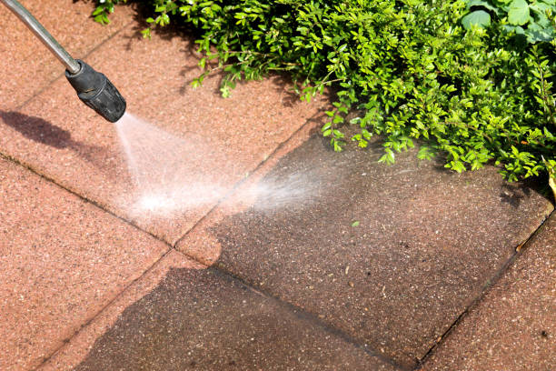 Best Local Pressure Washing Services  in Tazewell, VA